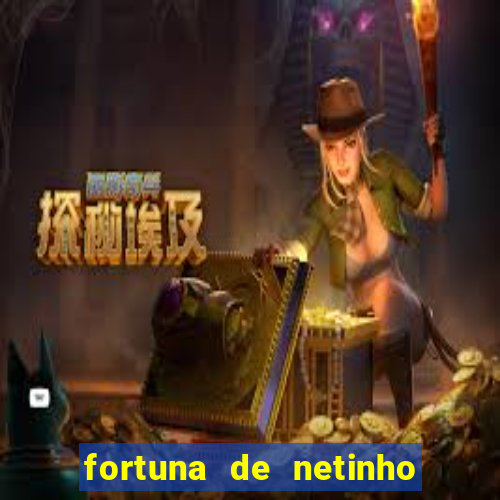 fortuna de netinho de paula